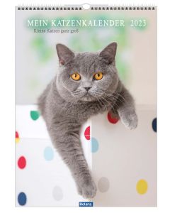 Mein Katzenkalender 2023