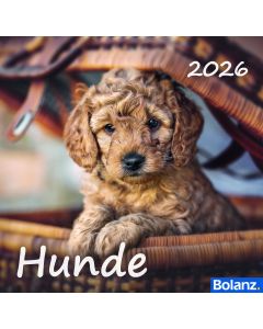 Hunde 2026