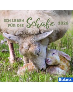 Ein Leben für die Schafe 2026 - Tischkalender