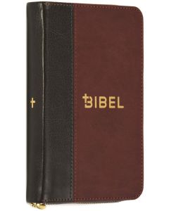 Die Bibel - Schlachter 2000