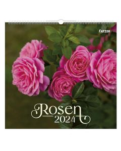 Rosen - Wandkalender 2024