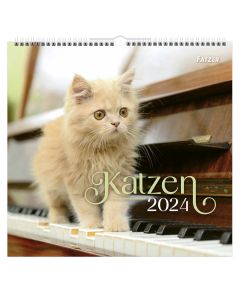 Katzen - Wandkalender 2024