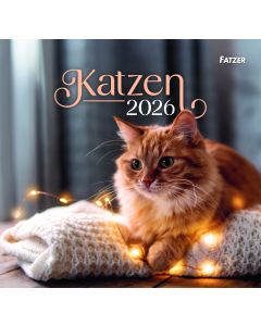 Katzen - Wandkalender 2026