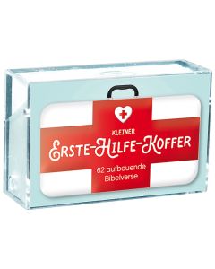 Kleiner Erste-Hilfe-Koffer