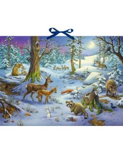 Sound-Adventskalender – Hört ihr die Tiere im Winterwald?