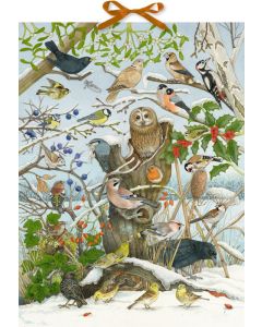 Sound-Adventskalender – Unsere Vögel im Winter