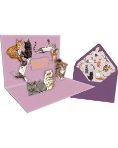 Pop-up-Grußkarte – I love Cats