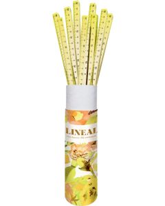 Lineal aus Acryl - All about yellow