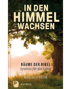 In den Himmel wachsen