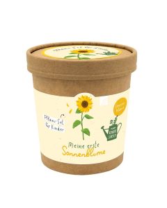 Meine erste Sonnenblume