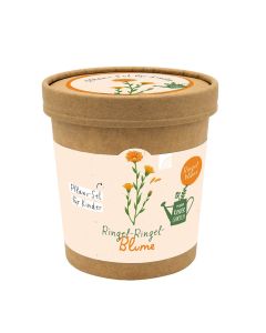 Ringel-Ringel-Blume