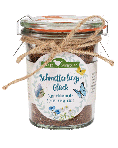 Schmetterlingsglück - Sommerblumen, die Schmetterlinge lieben