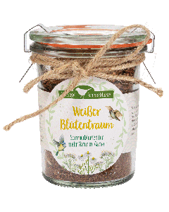 Weißer Blütentraum - Sommerblumen für mehr Natur im Garten