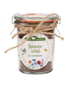 Sommerwiese