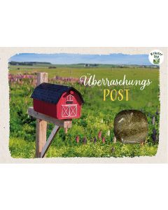 Überraschungspost