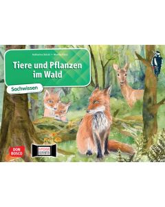 Tiere und Pflanzen im Wald. Kamishibai Bildkartenset