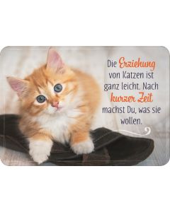 Die Erziehung von Katzen ist ganz leicht. Nach kurzer Zeit machst Du, was sie wo