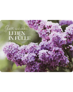 Gott schenkt Leben in Fülle