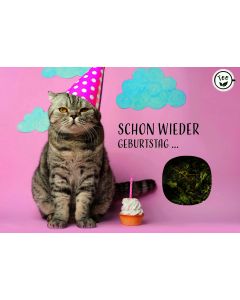 Schon wieder Geburtstag ...