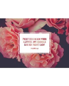 Faltkarte 'Freut euch in dem Herr allewege, und abermals sag