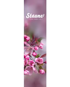 Lesezeichen 'Staune'