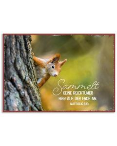 Metallschild 'Sammelt keine Reichtümer hier auf der Erde an.