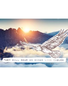 Postkarte 'Eagle'  1EX