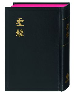 Bibel Chinesisch (Shangti Edition)