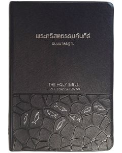 Bibel Thai