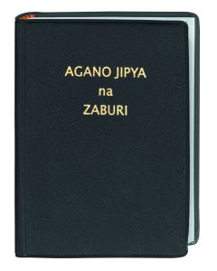 Agano Jipya na Zaburi - Neues Testament und Psalmen Suaheli