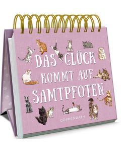 Das Glück kommt auf Samtpfoten