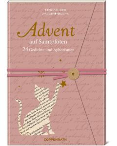 Brief-Adventskalenderbuch - Advent auf Samtpfoten
