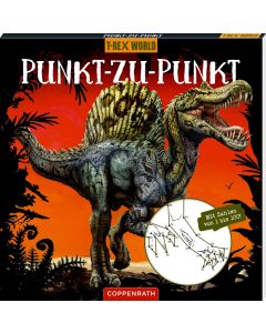 Punkt-zu-Punkt