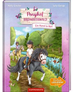 Ponyhof Brombeerwald (Erstlesebuch, Bd. 3)