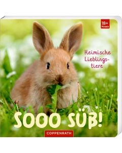 Sooo süß! Heimische Lieblingstiere