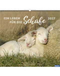 Ein Leben für die Schafe 2027 – Wandkalender
