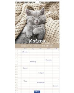 Katzen – Anmut auf vier Pfoten 2027 – Familienplaner