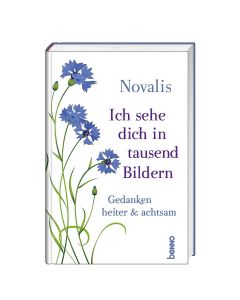 Ich sehe dich in tausend Bildern