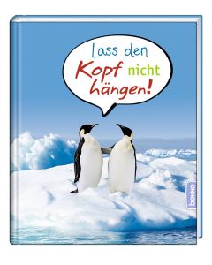 Lass den Kopf nicht hängen!