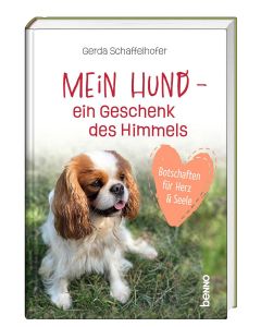 Mein Hund – ein Geschenk des Himmels