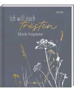 Ich will euch trösten