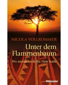 Unter dem Flammenbaum