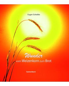 Wunder vom Weizenkorn zum Brot
