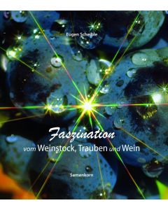 Faszination vom Weinstock, Trauben und Wein