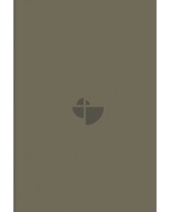Schlachter 2000 Bibel - Taschenausgabe (PU-Einband, sandfarben, blauer Farbschnitt)