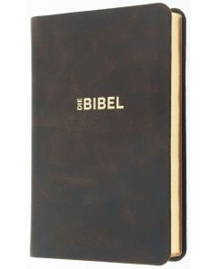 Schlachter 2000 Bibel - Taschenausgabe (Softcover, schwarz, Rotgoldschnitt)