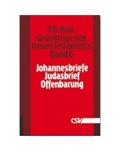 Grundzüge des Neuen Testaments, Band 6