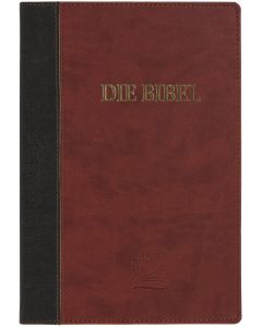 Schlachter 2000 Bibel - Großdruckausgabe (Softcover, grau/braun)