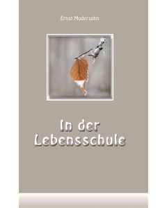 In der Lebensschule