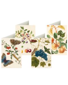 Maria Sibylla Merian und Johanna Helena Herolt - Briefkarten-Set 8 Ex. 'Früchtewelt Merian'